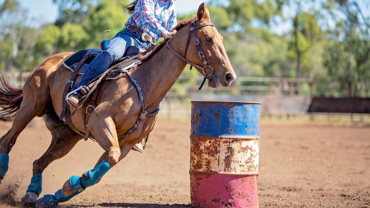 Barrel racer making a tight turn around a striped barrel